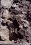 Excavation