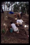 Excavation