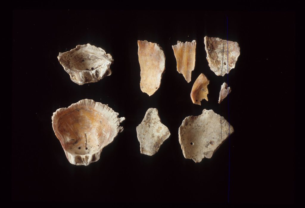 Object