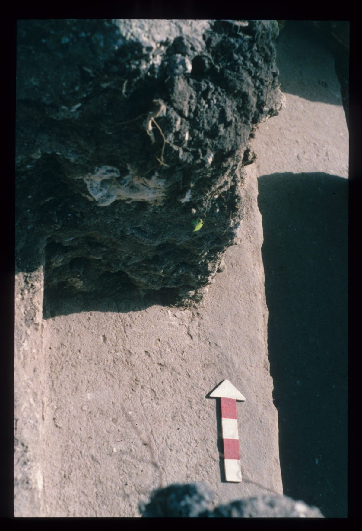 Excavation