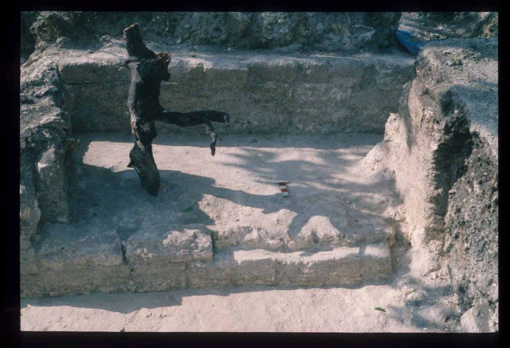 Excavation