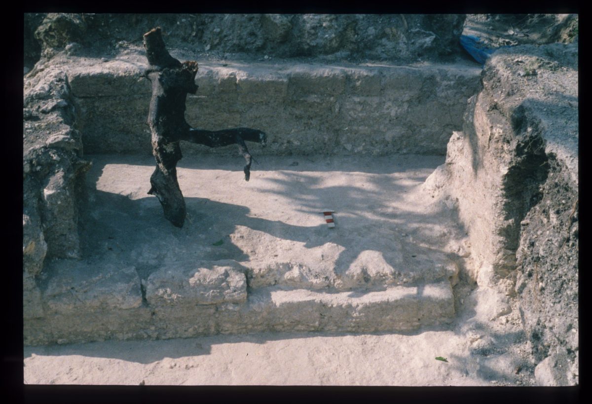 Excavation