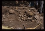 Excavation