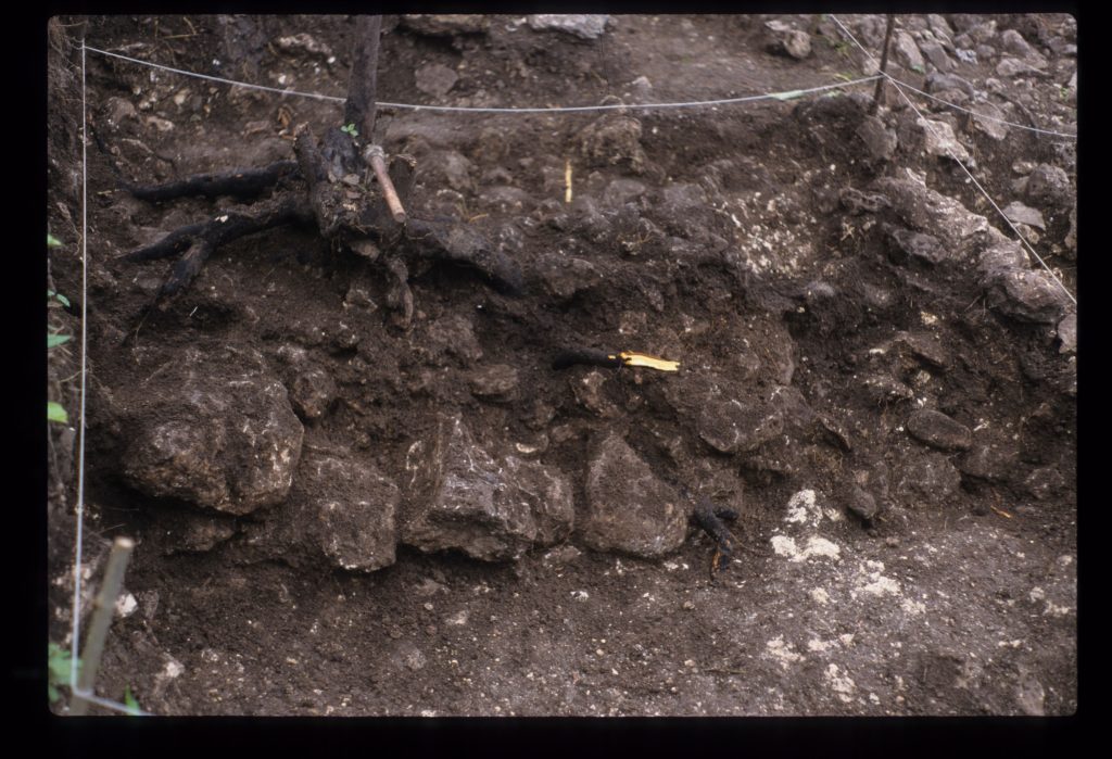 Excavation