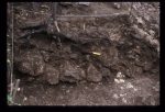 Excavation