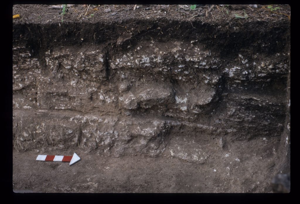 Excavation