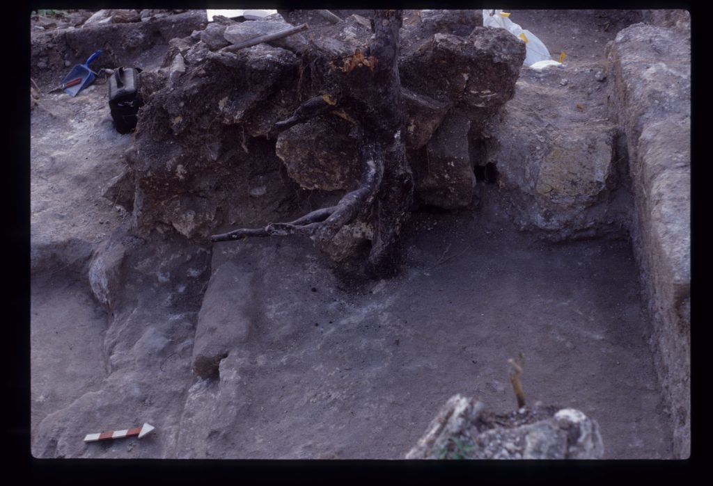 Excavation