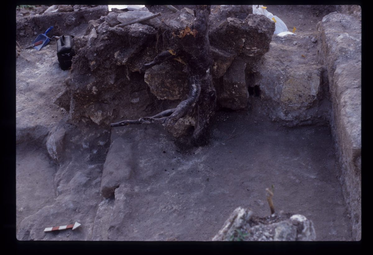 Excavation