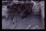 Excavation