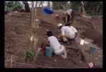 Excavation