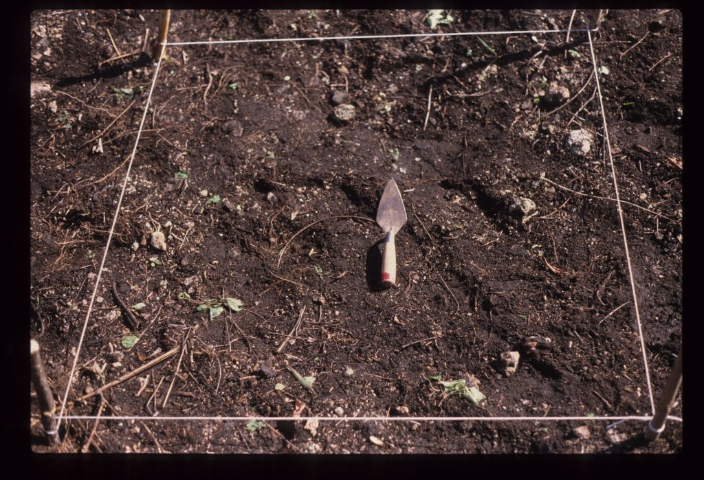 Excavation