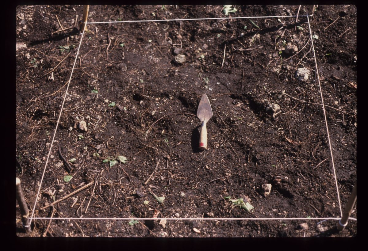 Excavation