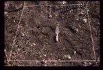 Excavation