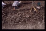 Excavation