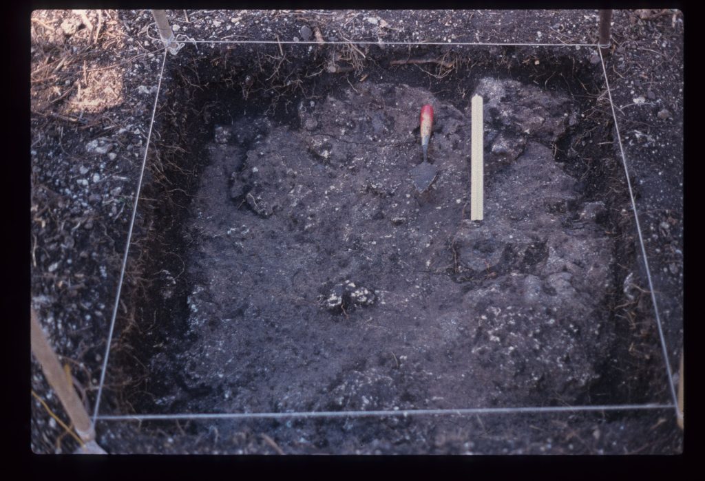 Excavation