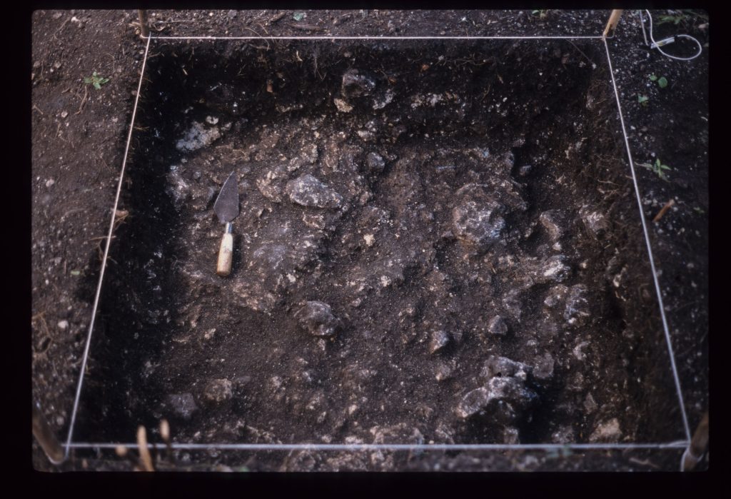 Excavation