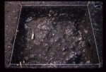 Excavation