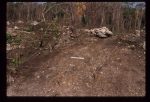 Excavation
