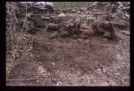 Excavation