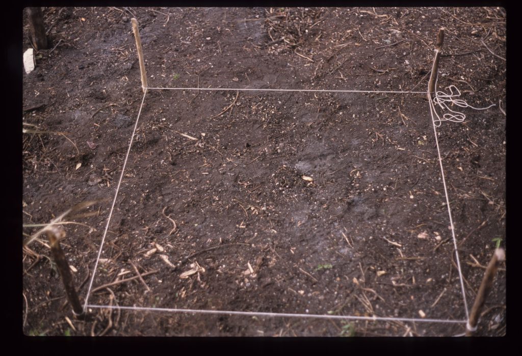 Excavation