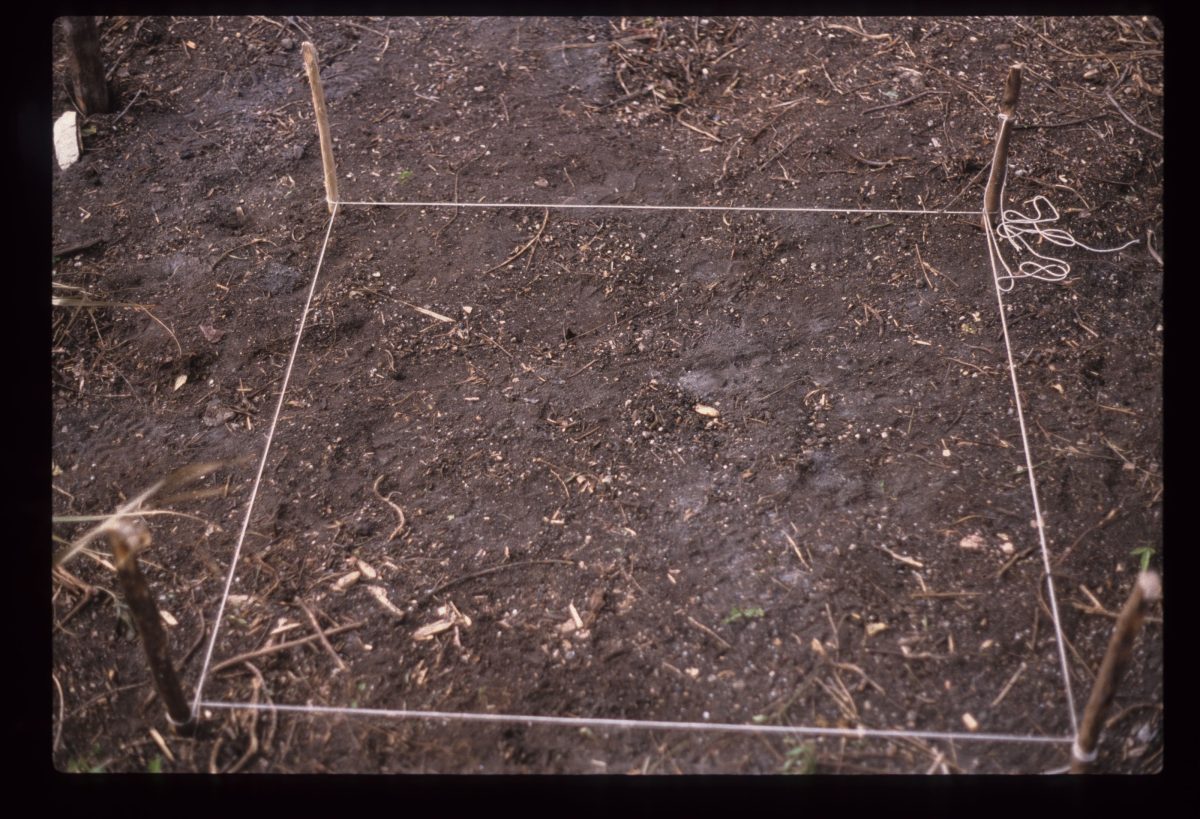 Excavation