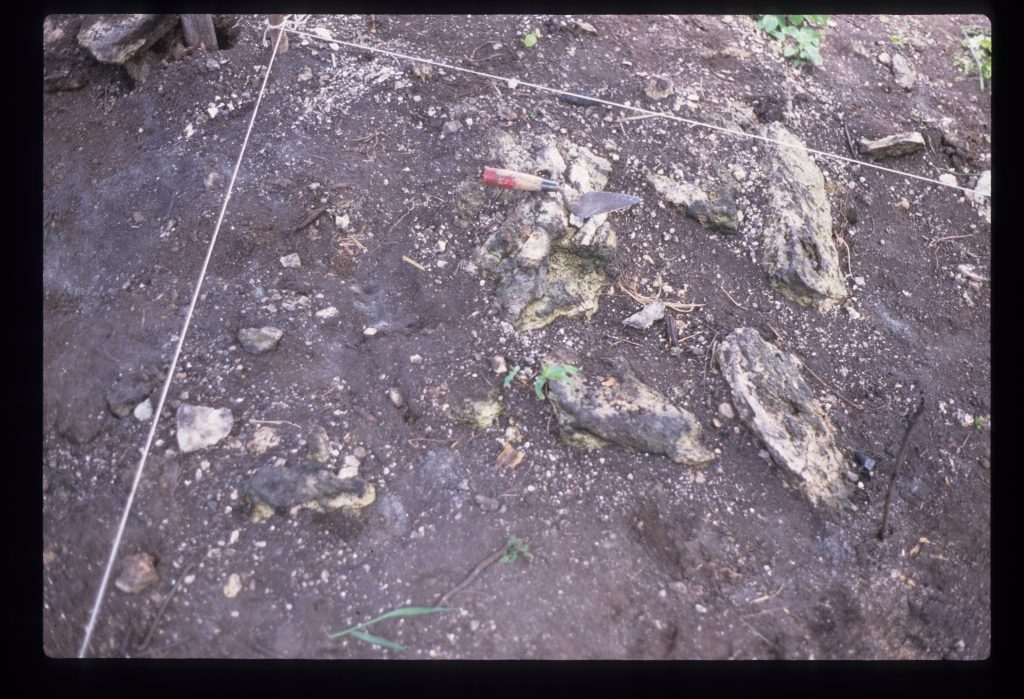Excavation