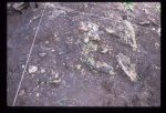 Excavation