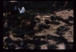Excavation