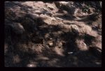 Excavation