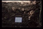 Excavation