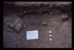 Excavation