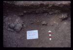 Excavation