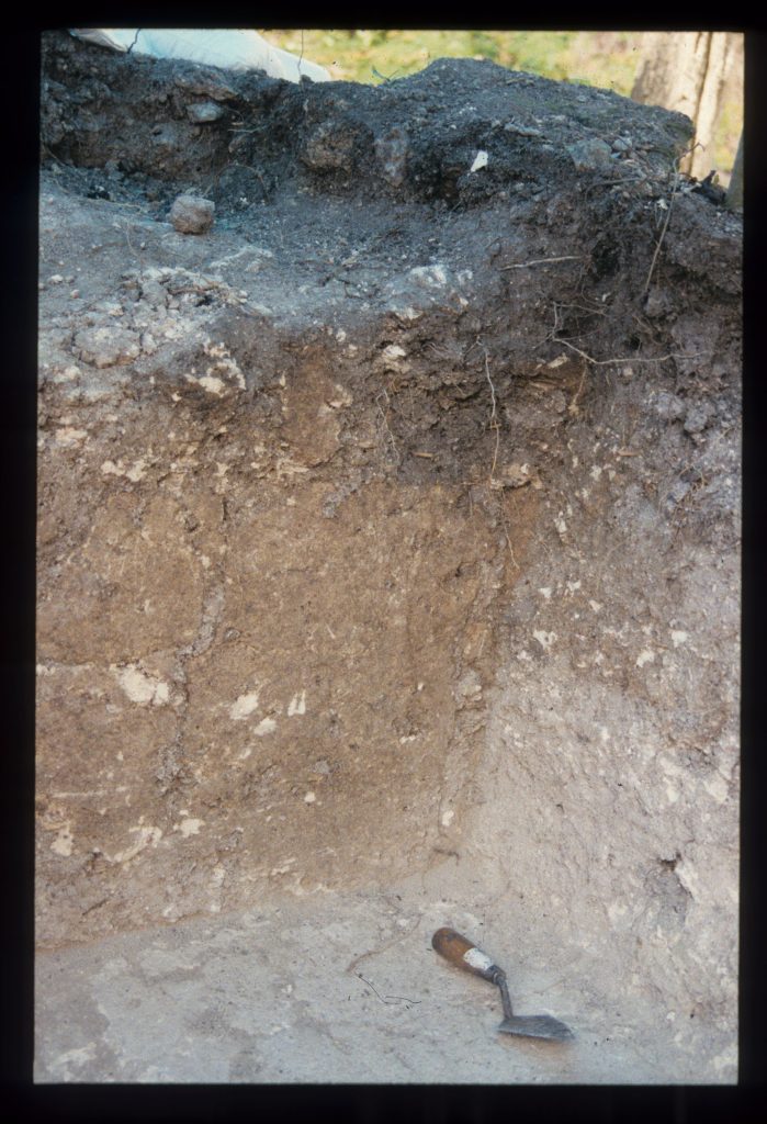 Excavation