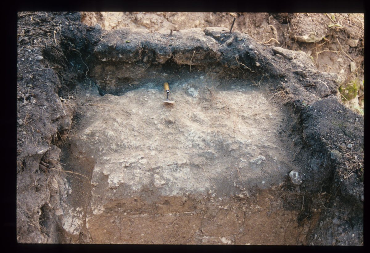 Excavation