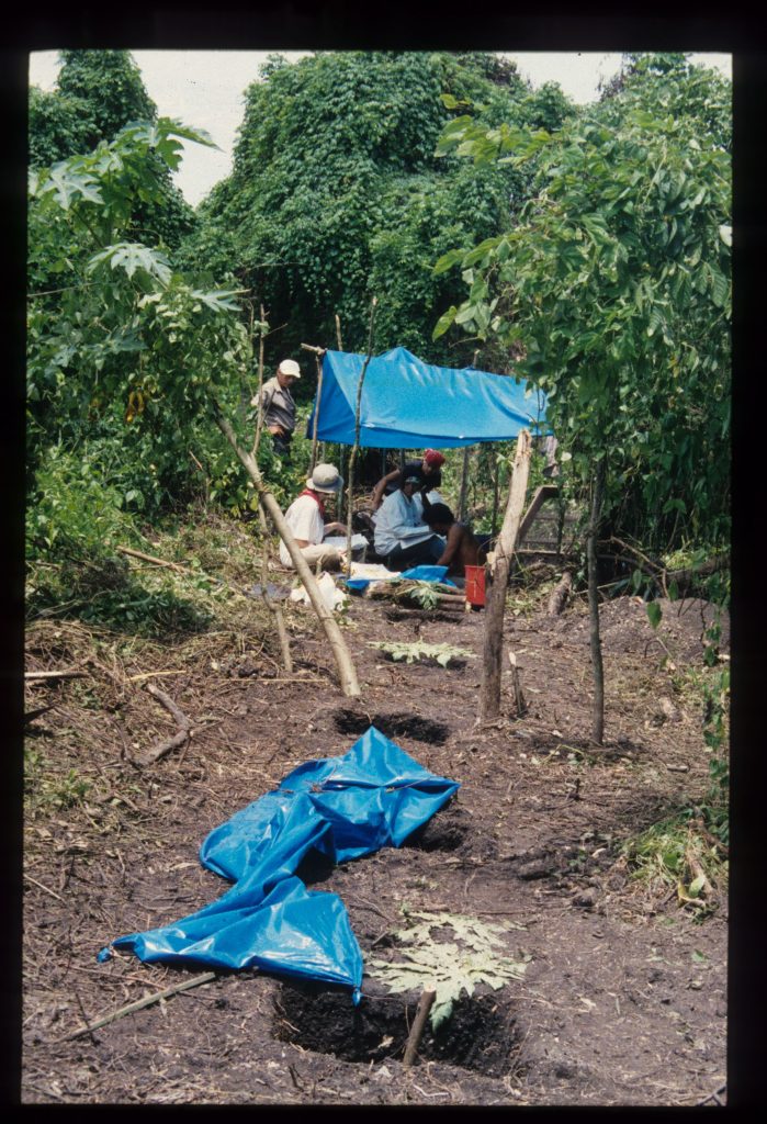 Excavation