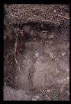 Excavation