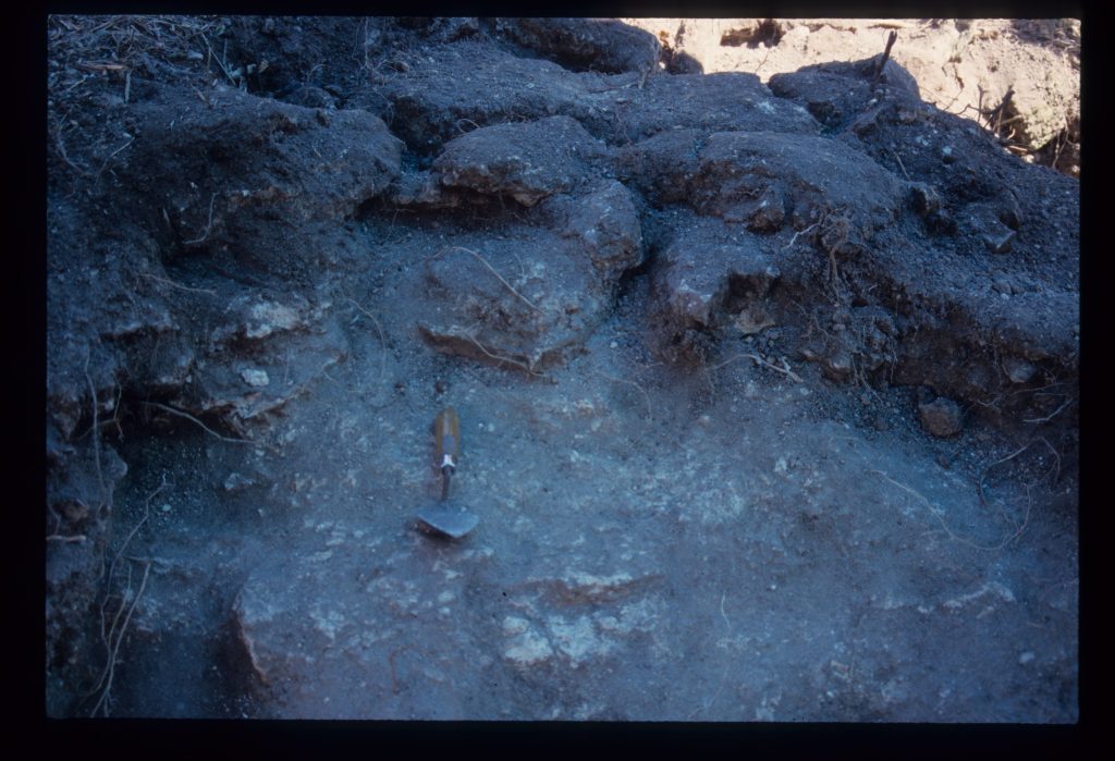Excavation