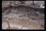 Excavation