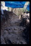 Excavation