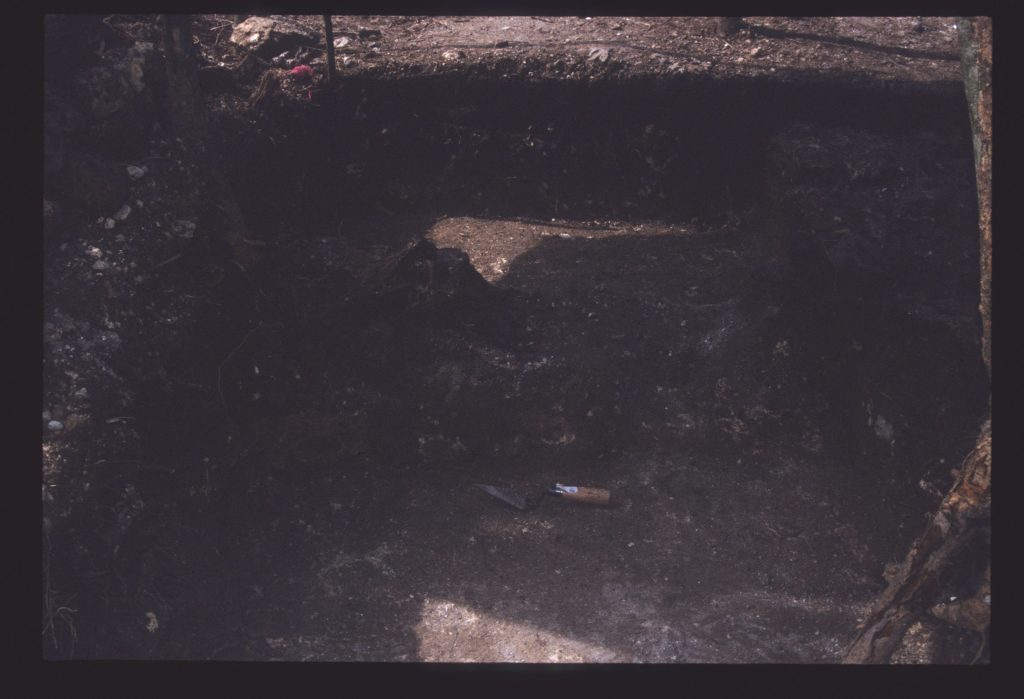 Excavation