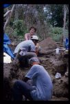 Excavation