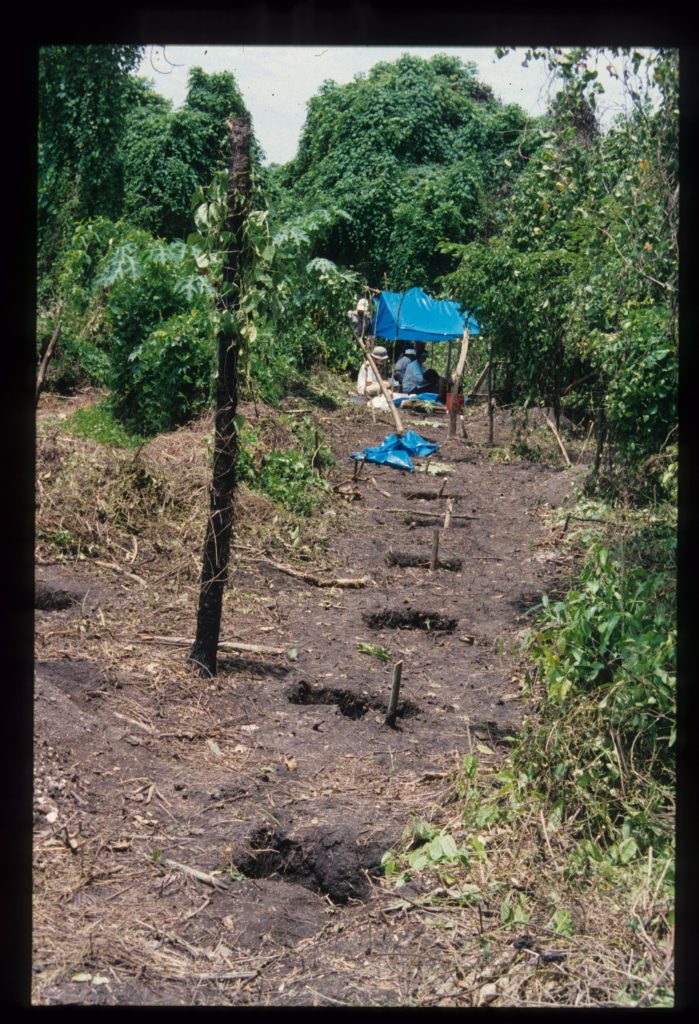 Excavation