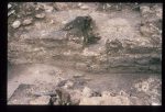 Excavation