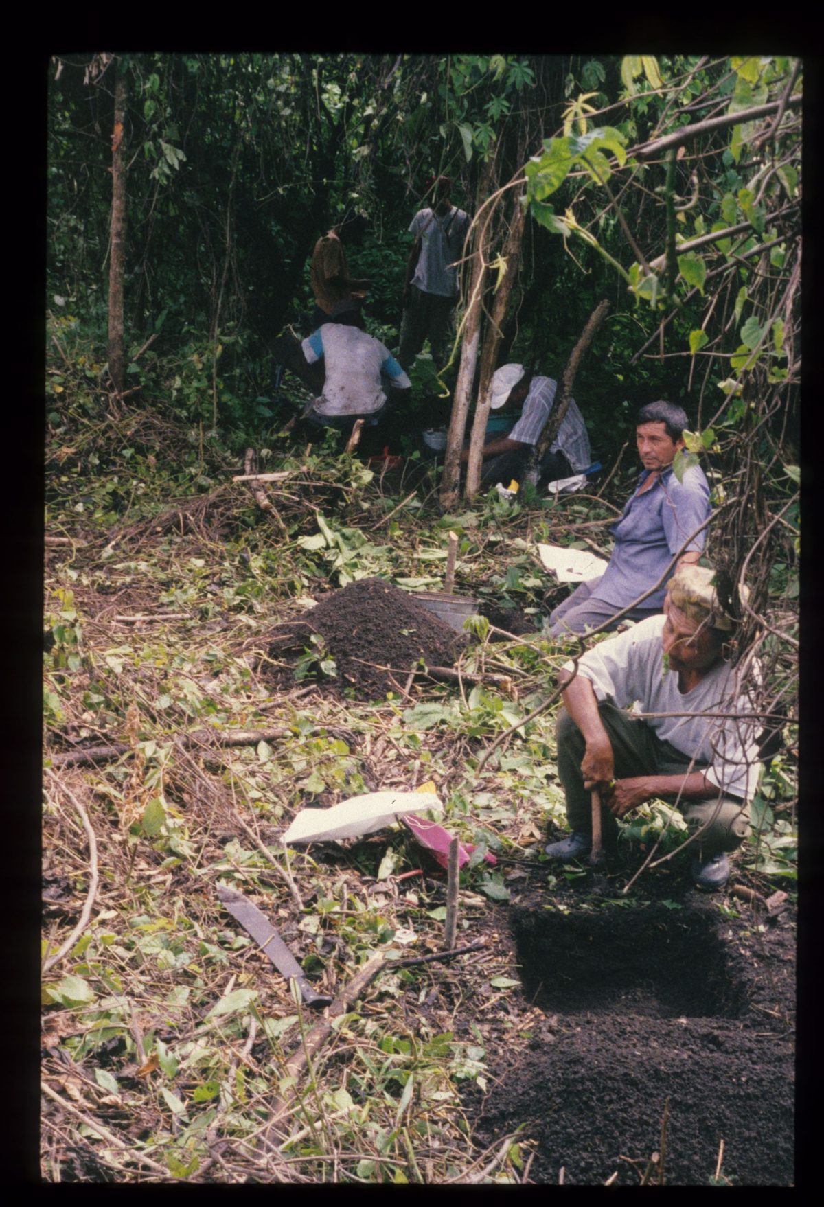 Excavation