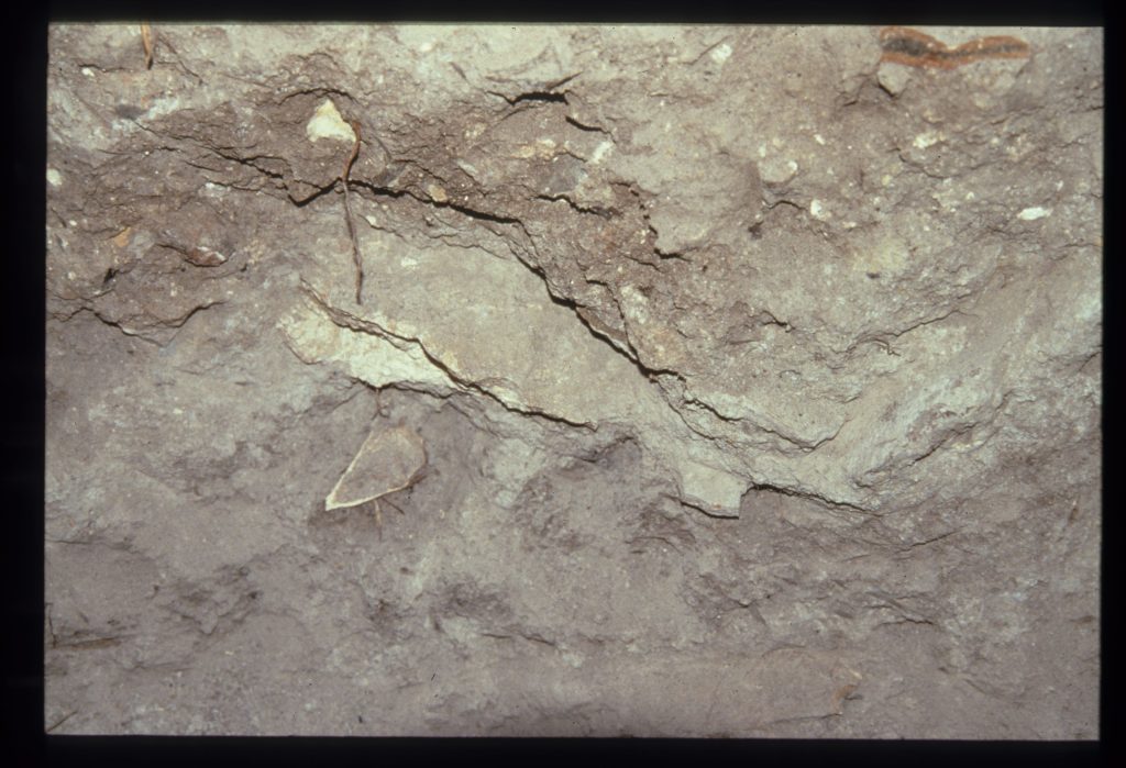 Excavation