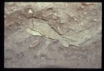 Excavation