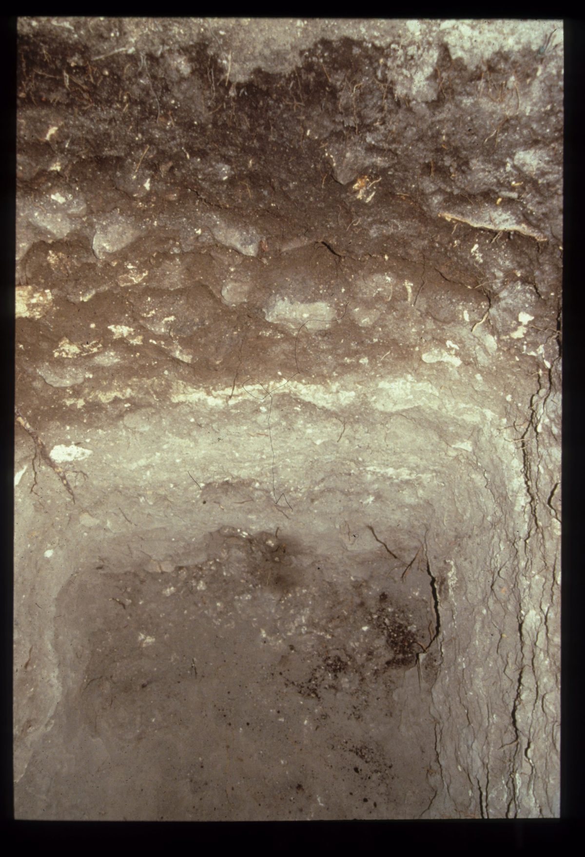 Excavation