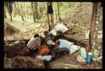Excavation