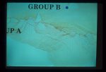 Survey