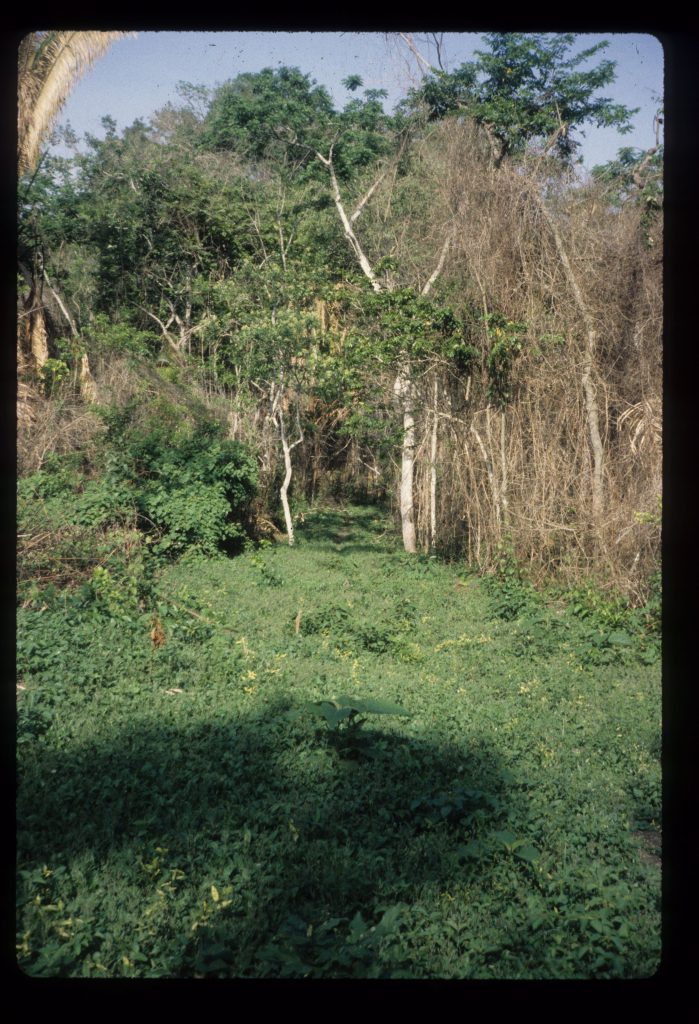 Main Plaza